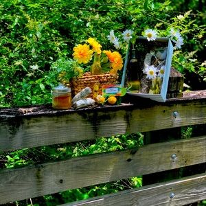 Meet your Posher, Destiny